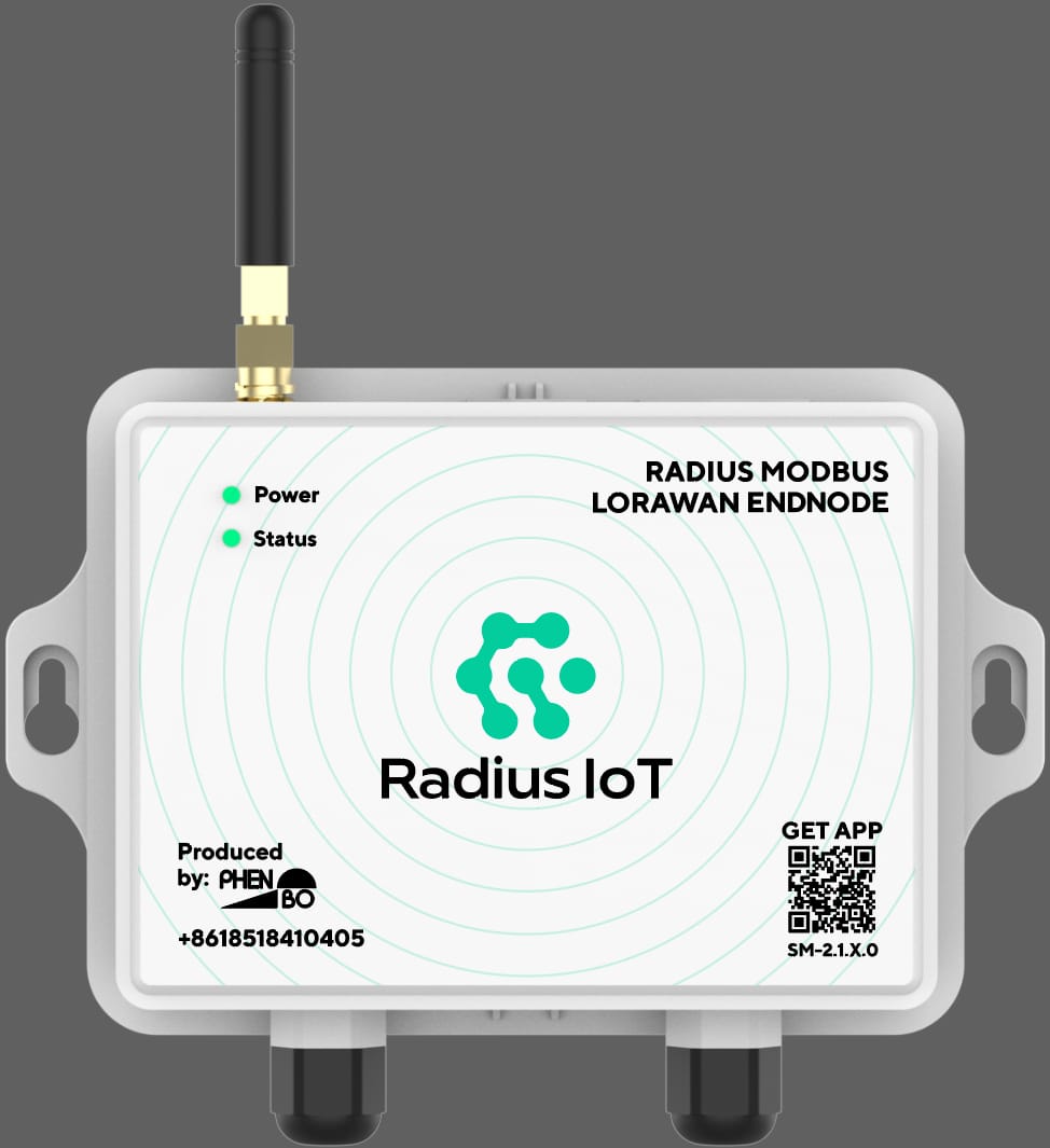 Radius endnode